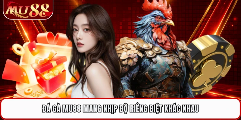 Đá gà MU88 mang nhịp độ riêng biệt khác nhau