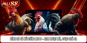 Kênh Đá Gà Nổi Tiếng MU88 - Xem Mượt Mà, Cược Thả Ga 