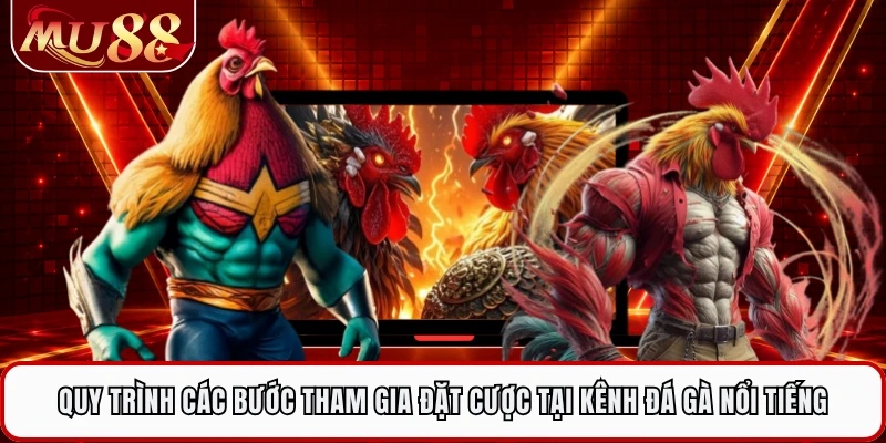 Quy trình các bước tham gia đặt cược tại kênh đá gà nổi tiếng